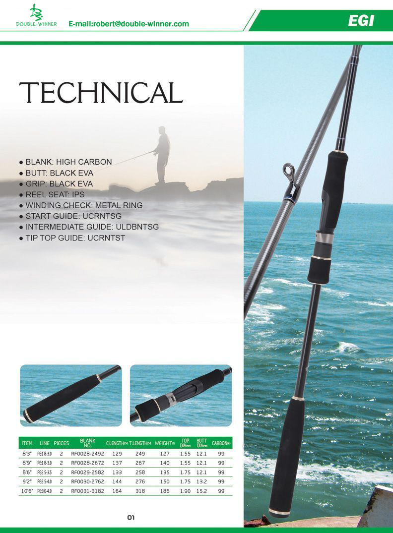 EGI-TECHNICAL
